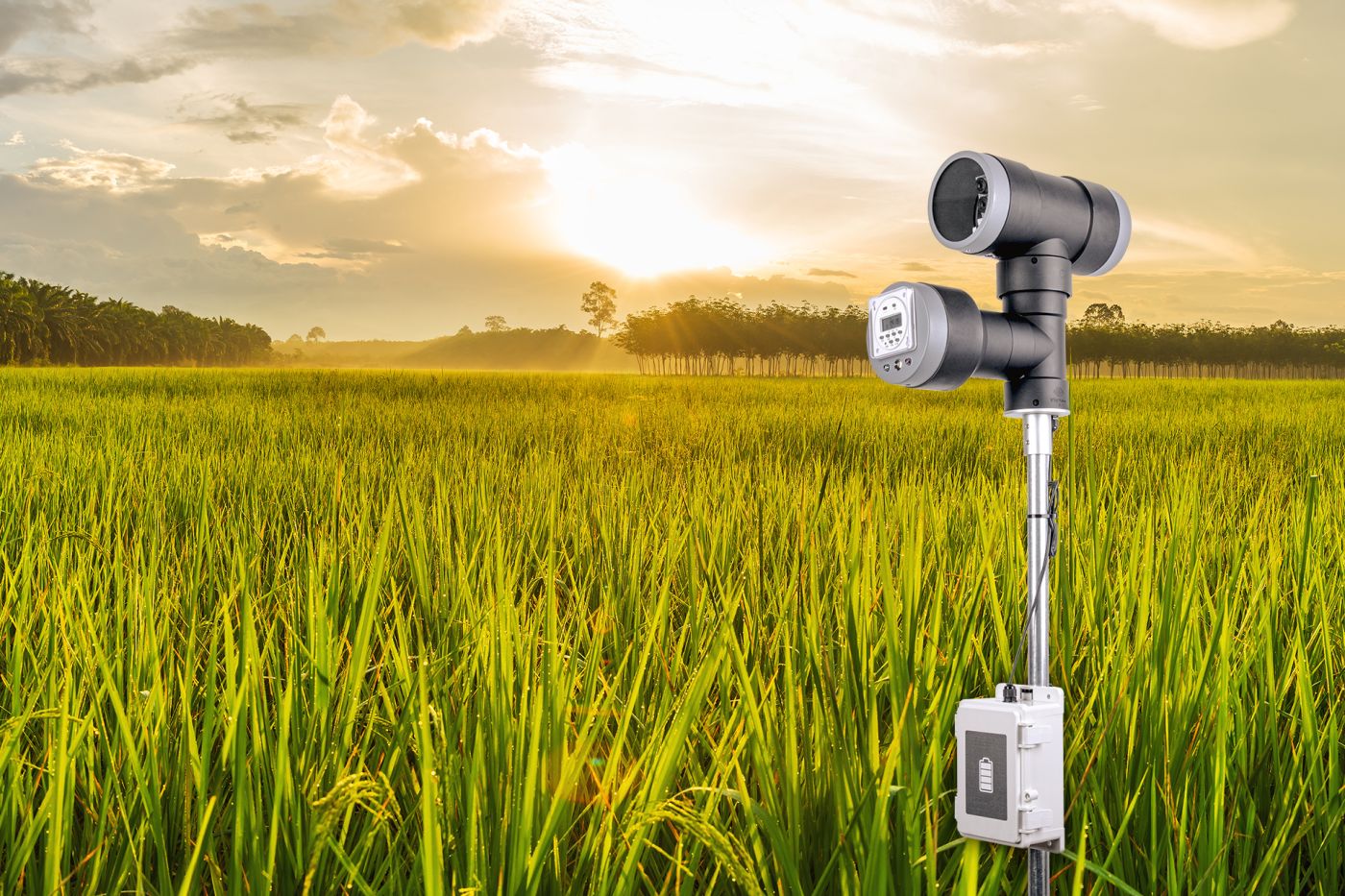 ALL_catalog_product_m_25H14_kYsktQbgkD